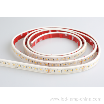 SMD 3528 192 leds/M RGBW IP20 IP65 strip